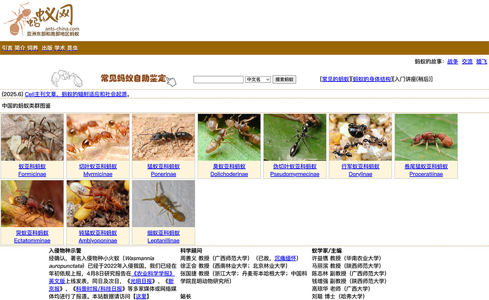 蚂蚁网:全球最大的华语中文蚂蚁专业网站