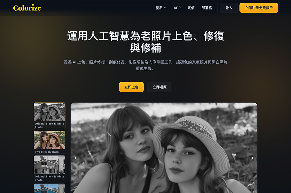 ImageColorizer官网插图