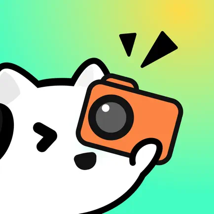 科学悟理卡APP最新版