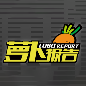 萝卜报告