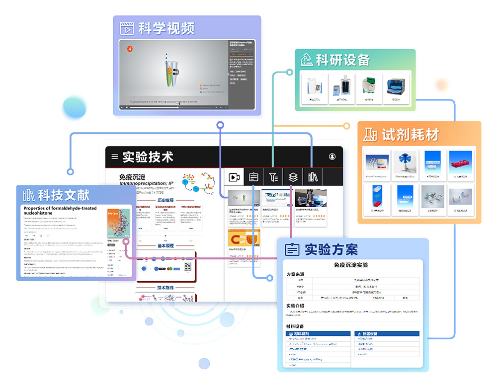 MedPeer插图