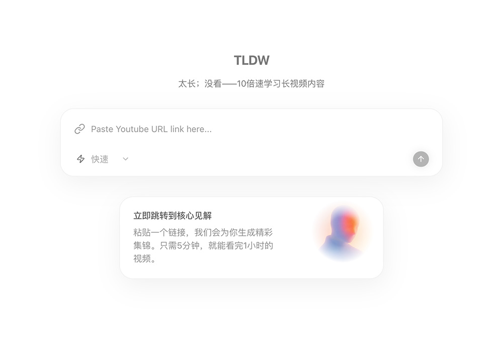 TLDW官网截图