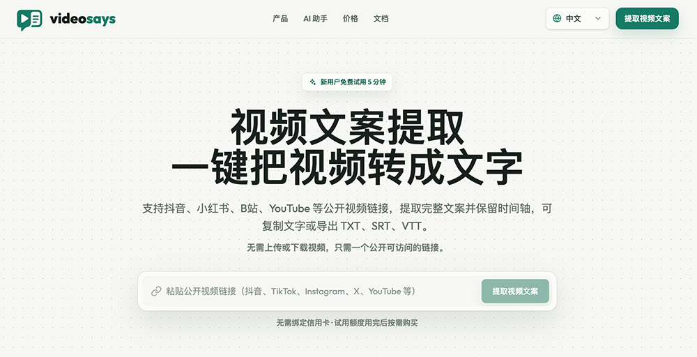 Videosays官网插图