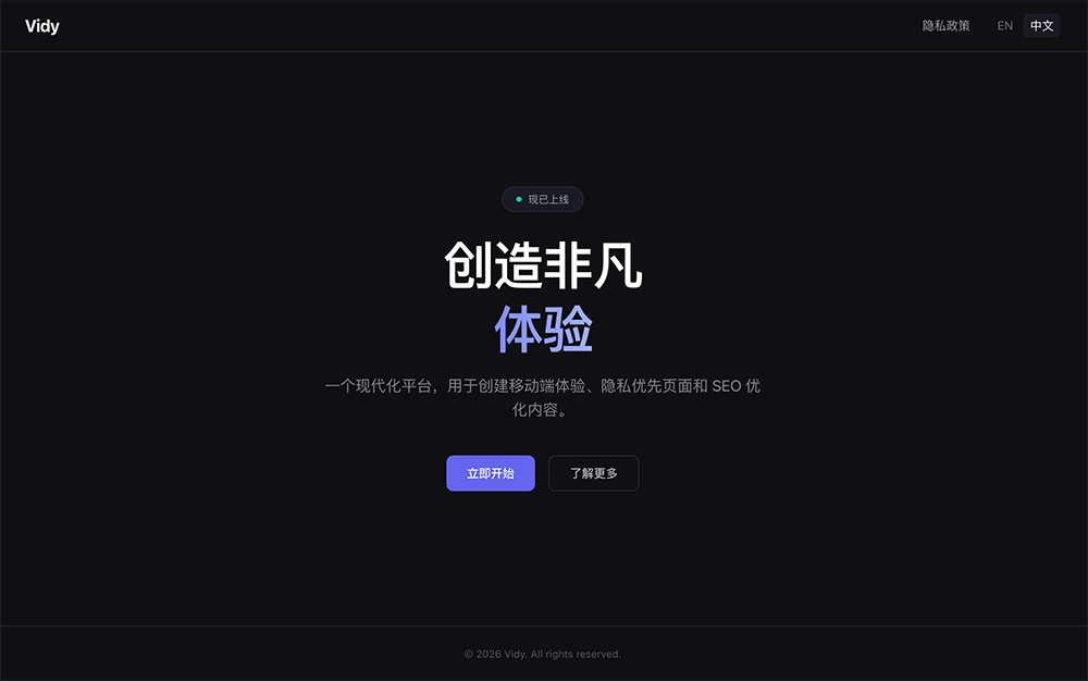 Vidy