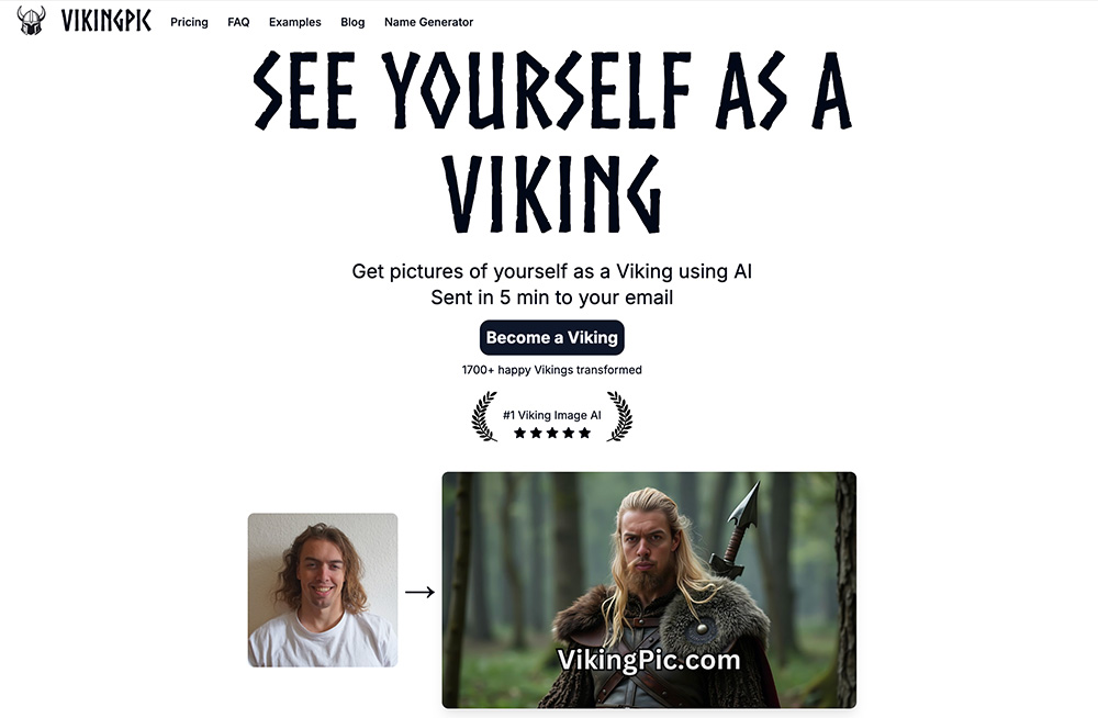VikingPic官网插图