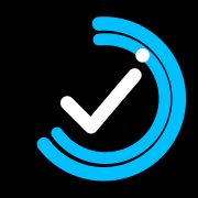 Website Auditor